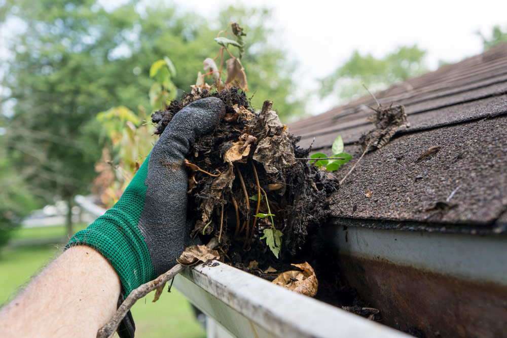 How to Keep Your Gutters Clean and Clear in the Cornish Coastal Weather