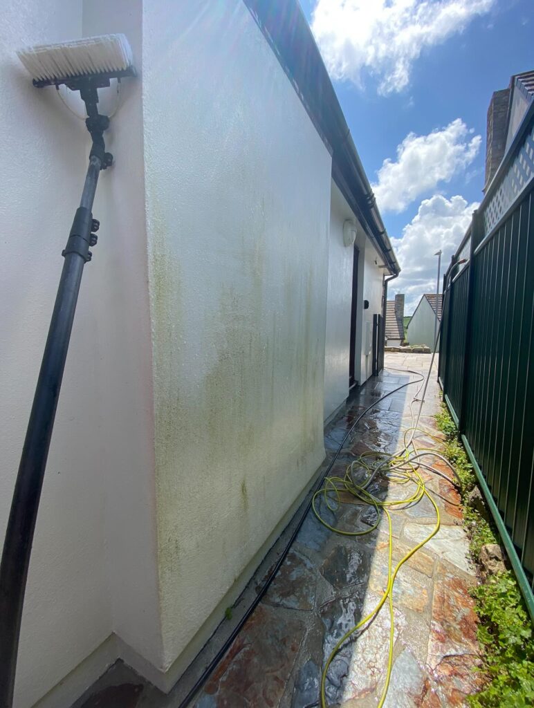 removing algae softwash
