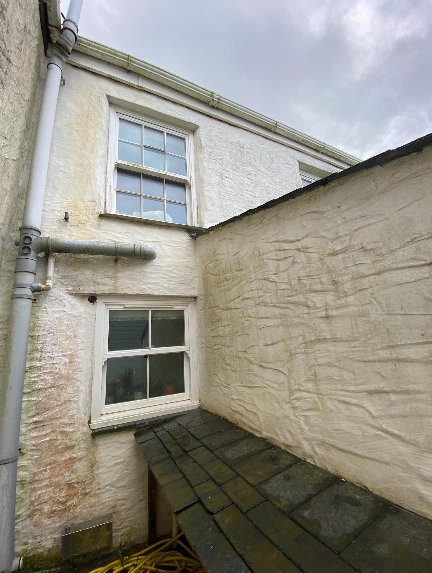 Moss, Algae, and Cornwall’s Climate: The Trio That Ruins Render