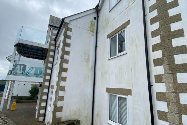 render walls softwash exterior clean before